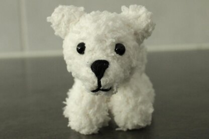 Baby Polar Bear Beau