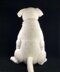 American bulldog crochet pattern