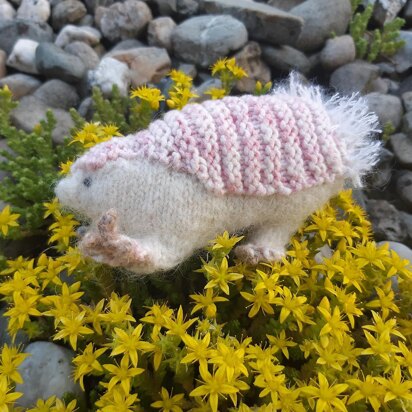 Fairy armadillo - knitting pattern