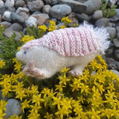 Fairy armadillo