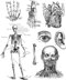 Stampers Anonymous Tim Holtz Cling Stamps 7"X8.5" - Cadaverous