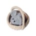 Squeaky Mouse in a Basket