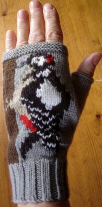 Woodpecker fingerless gloves