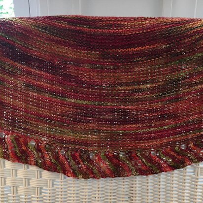 Nancy Louise Shawl