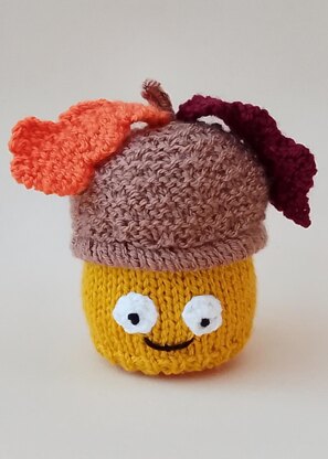 Acorn Chocolate Orange Cosy