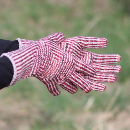 Hermes finger gloves