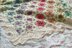 Painted Anemones Blanket