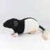 Fancy rats