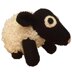 Corey the Sheep