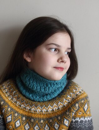 Peregrine Cowl for Aran yarn