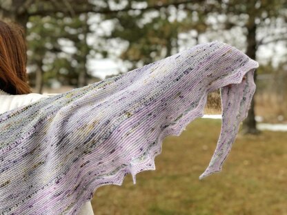 Frozen Wildflower Shawl