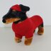 Small Dog 4 Ply Coat,Visor & Pixie Hat