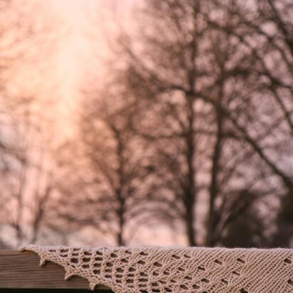 The Lace Mess Shawl