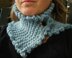 Pico Cowl