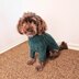 Cozy Canine Rib-Knit