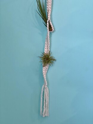 Tillandsia Garden Hanger