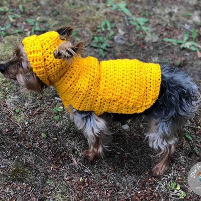 Small Dog Hoodie Sweater