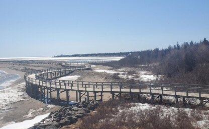 Bouctouche Boardwalk Socks