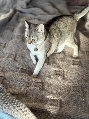 Easy Circle Illusion Knitted Blanket