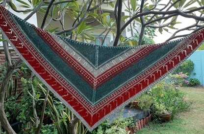 Winter Holiday Shawl