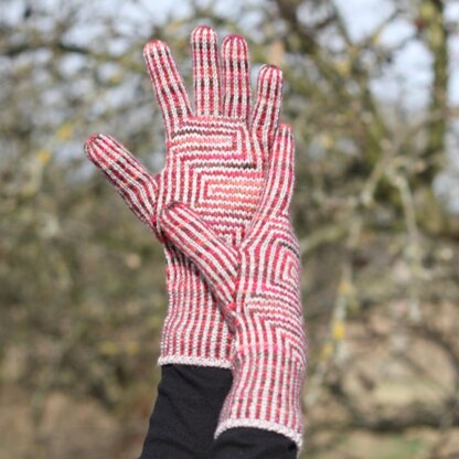 Hermes finger gloves
