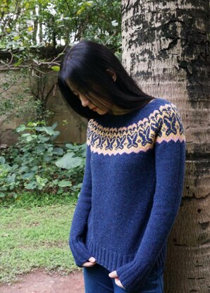 Butterfly Yoke Pullover