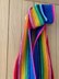 13th Doctor Who Rainbow Scarf Small