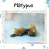 Platypus