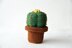 Small Cactus - Ball Cactus - Cute Green Cactus - Crochet Cactus - Crochet Plant - Plant Home Decor - DIY Plant - CROCHET PATTERN no.164