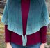 Symmetry Shawl