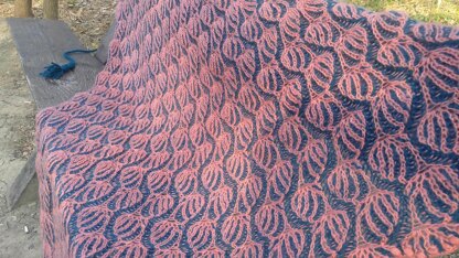 Wheat shawl