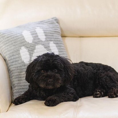 Woodgreen - Large Paw Print Cushion