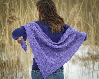 Inglenook Shawl