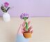 Carnation flower