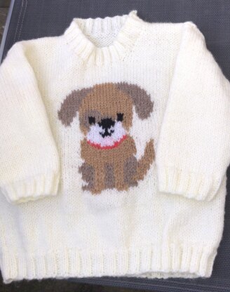 Arthur's Doggy Jumper