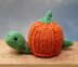 Pumpkin Tortoise - Chocolate Orange Cover