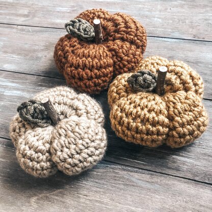 Mini Pumpkin Patch