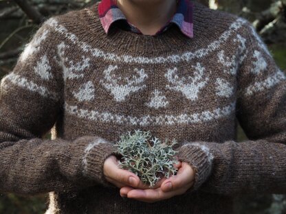 Hazy Shade of Winter Sweater