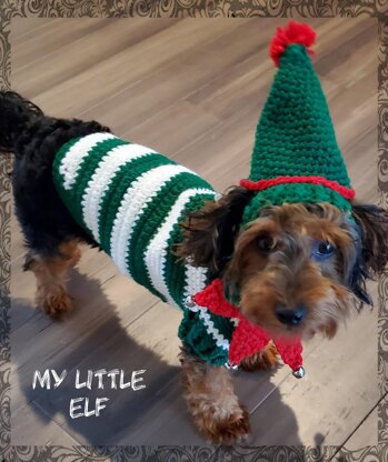 Elf Dog Sweater