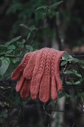 The Juniper Gloves