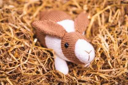 Deramores Dutch Bunnies in Deramores PDF