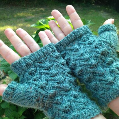 Reptile mitts