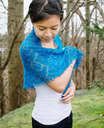 Alexandra Shawl in SweetGeorgia CashSilk Lace - Downloadable PDF