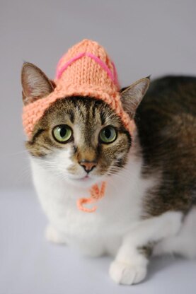 The Easter Egg Cat Hat