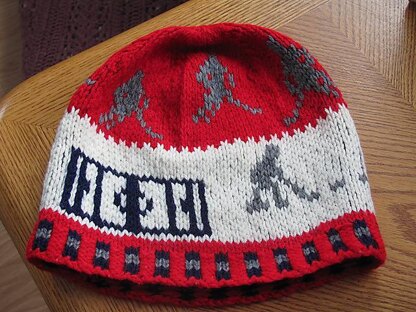 Ice hockey beanie