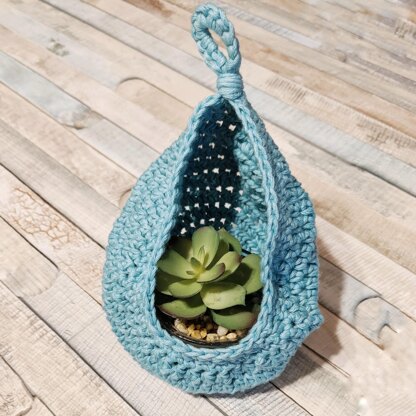 Hanging Air Plant Basket