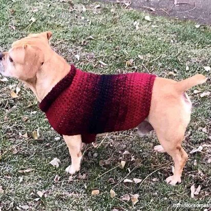 Easy Dog Sweater Medium