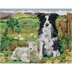 Anchor Border Collie & Lamb Tapestry Kit