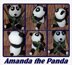 Crochet Teddy Bear Pattern Amanda The Panda