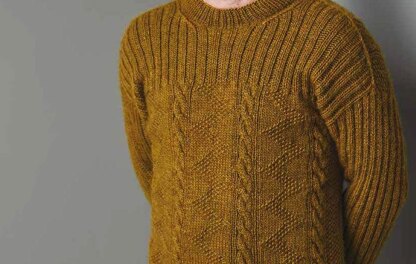 Forest Hill Sweater in Erika Knight Wild Wool - 72001103 - Downloadable PDF